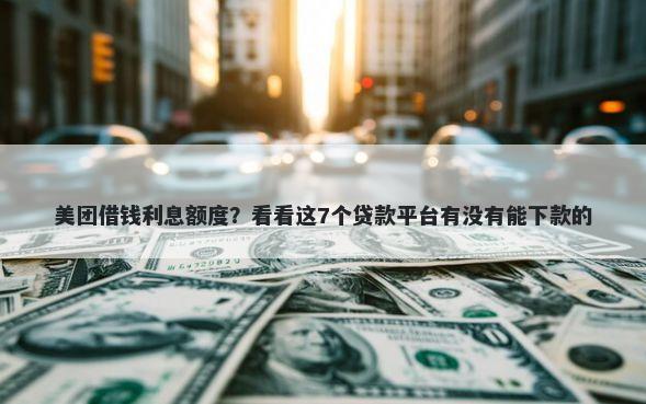 美团借钱利息额度？看看这7个贷款平台有没有能下款的