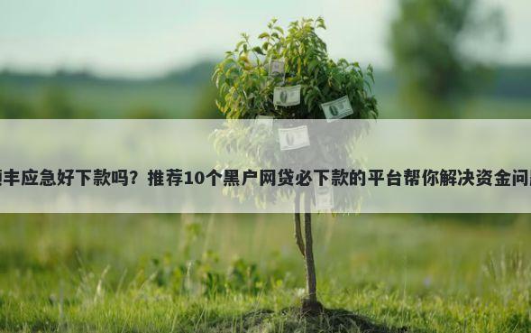 顺丰应急好下款吗？推荐10个黑户网贷必下款的平台帮你解决资金问题