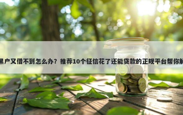 急用钱又是黑户又借不到怎么办？推荐10个征信花了还能贷款的正规平台帮你解决资金问题