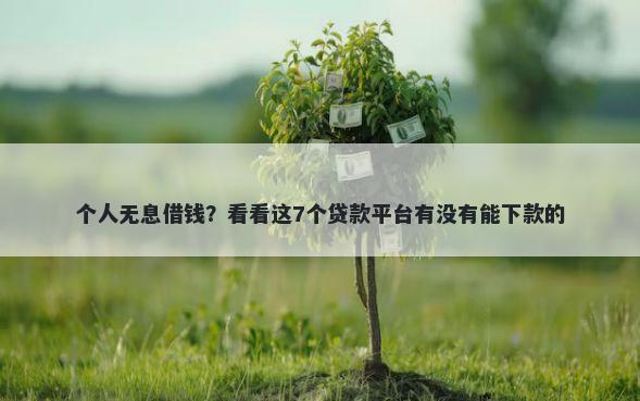 个人无息借钱？看看这7个贷款平台有没有能下款的