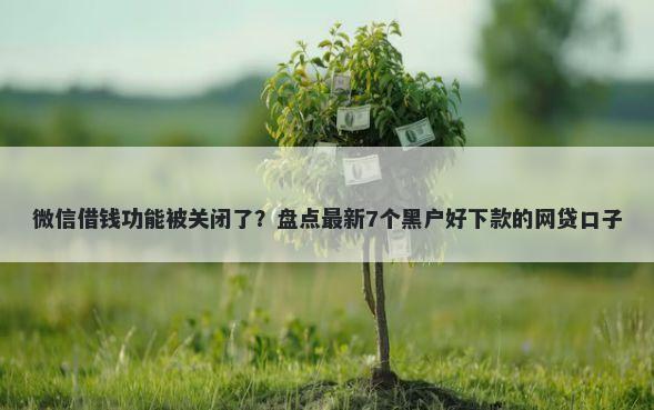微信借钱功能被关闭了？盘点最新7个黑户好下款的网贷口子