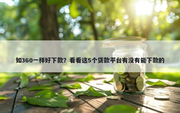 如360一样好下款？看看这5个贷款平台有没有能下款的