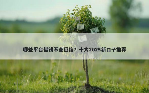 哪些平台借钱不查征信？十大2025新口子推荐