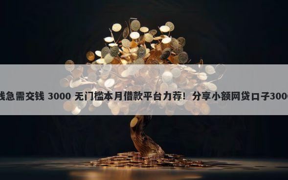 微信私人借钱急需交钱 3000 无门槛本月借款平台力荐！分享小额网贷口子3000无门槛借款