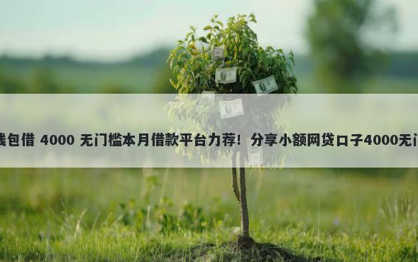 微信借钱包借 4000 无门槛本月借款平台力荐！分享小额网贷口子4000无门槛借款