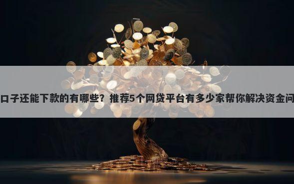 老口子还能下款的有哪些？推荐5个网贷平台有多少家帮你解决资金问题