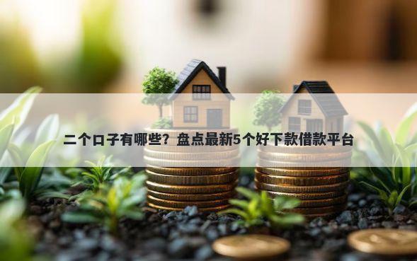 二个口子有哪些？盘点最新5个好下款借款平台