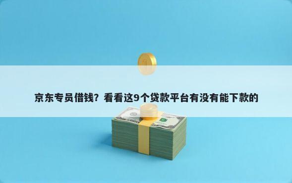 京东专员借钱？看看这9个贷款平台有没有能下款的