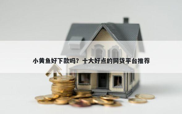 小黄鱼好下款吗？十大好点的网贷平台推荐