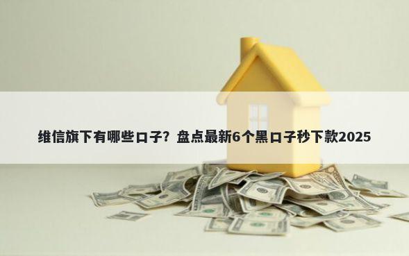 维信旗下有哪些口子？盘点最新6个黑口子秒下款2025