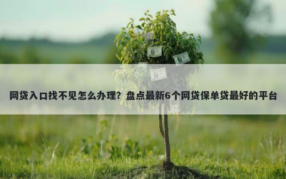 网贷入口找不见怎么办理？盘点最新6个网贷保单贷最好的平台
