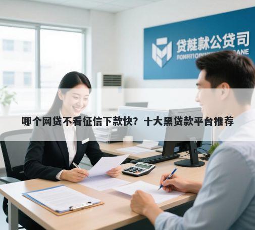 哪个网贷不看征信下款快？十大黑贷款平台推荐