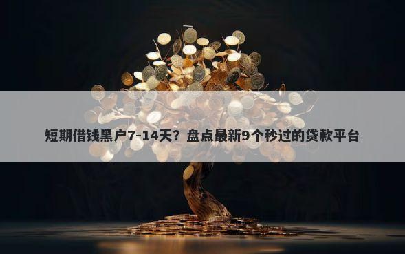 短期借钱黑户7-14天？盘点最新9个秒过的贷款平台