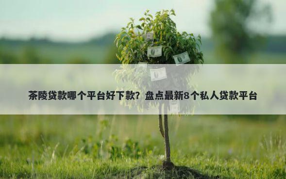 茶陵贷款哪个平台好下款？盘点最新8个私人贷款平台