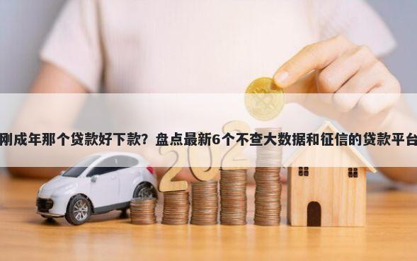 刚成年那个贷款好下款？盘点最新6个不查大数据和征信的贷款平台