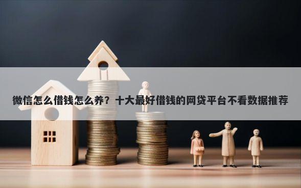 微信怎么借钱怎么养？十大最好借钱的网贷平台不看数据推荐