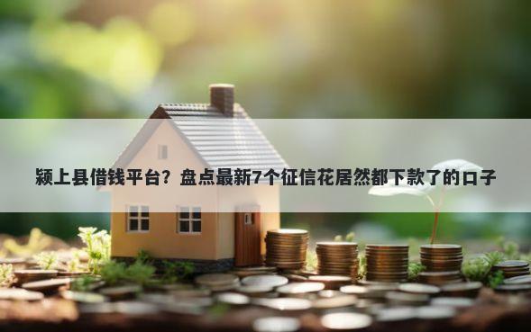 颍上县借钱平台？盘点最新7个征信花居然都下款了的口子