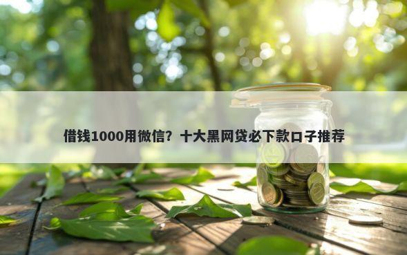 借钱1000用微信？十大黑网贷必下款口子推荐