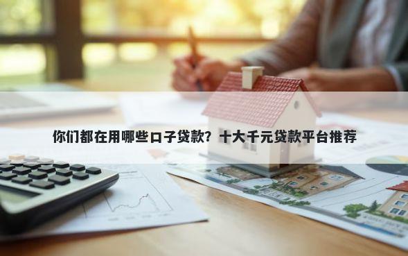 你们都在用哪些口子贷款？十大千元贷款平台推荐