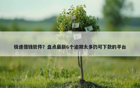 极速借钱软件？盘点最新6个逾期太多仍可下款的平台