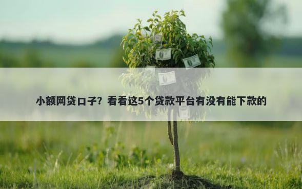 小额网贷口子？看看这5个贷款平台有没有能下款的
